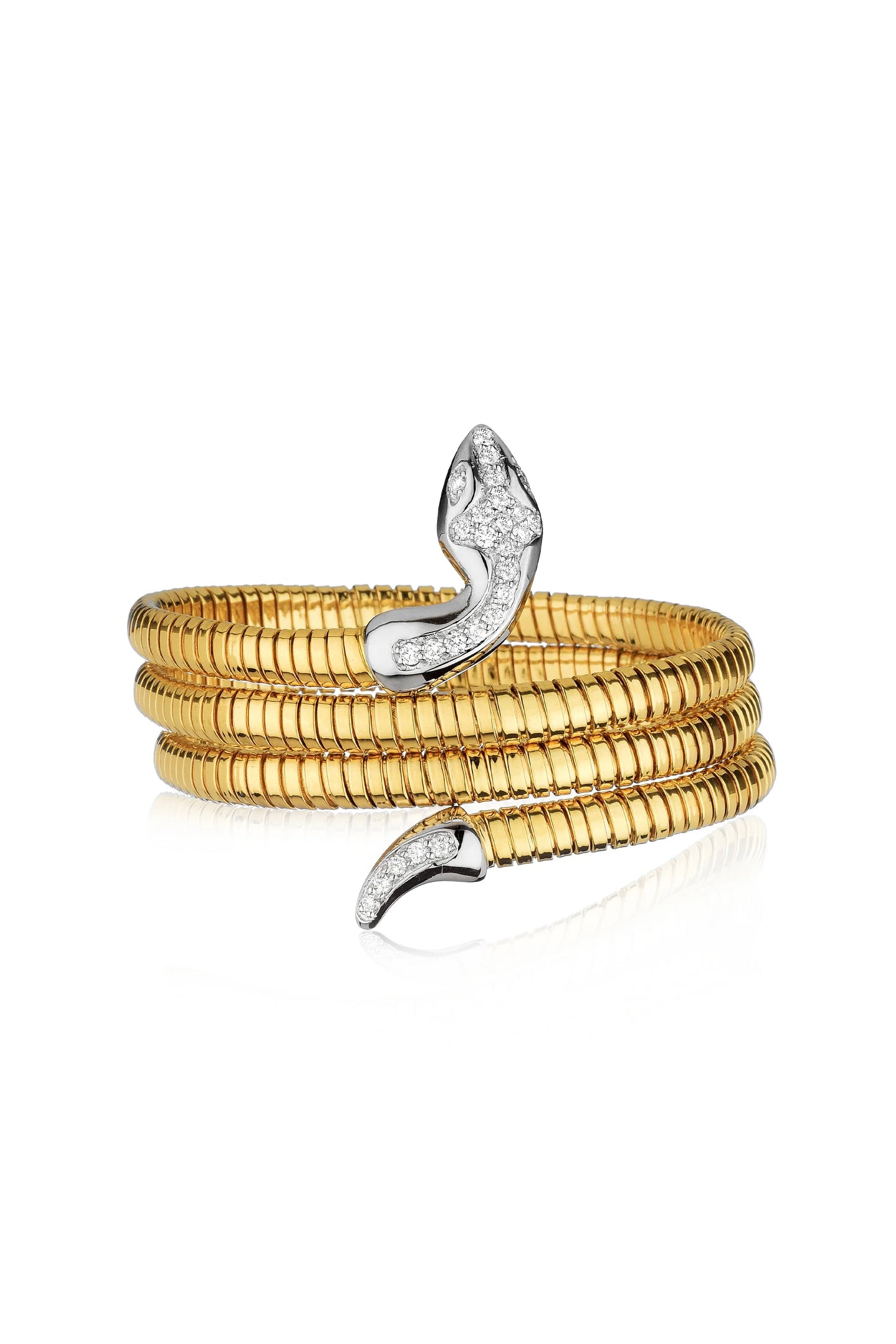 Elastic Snake