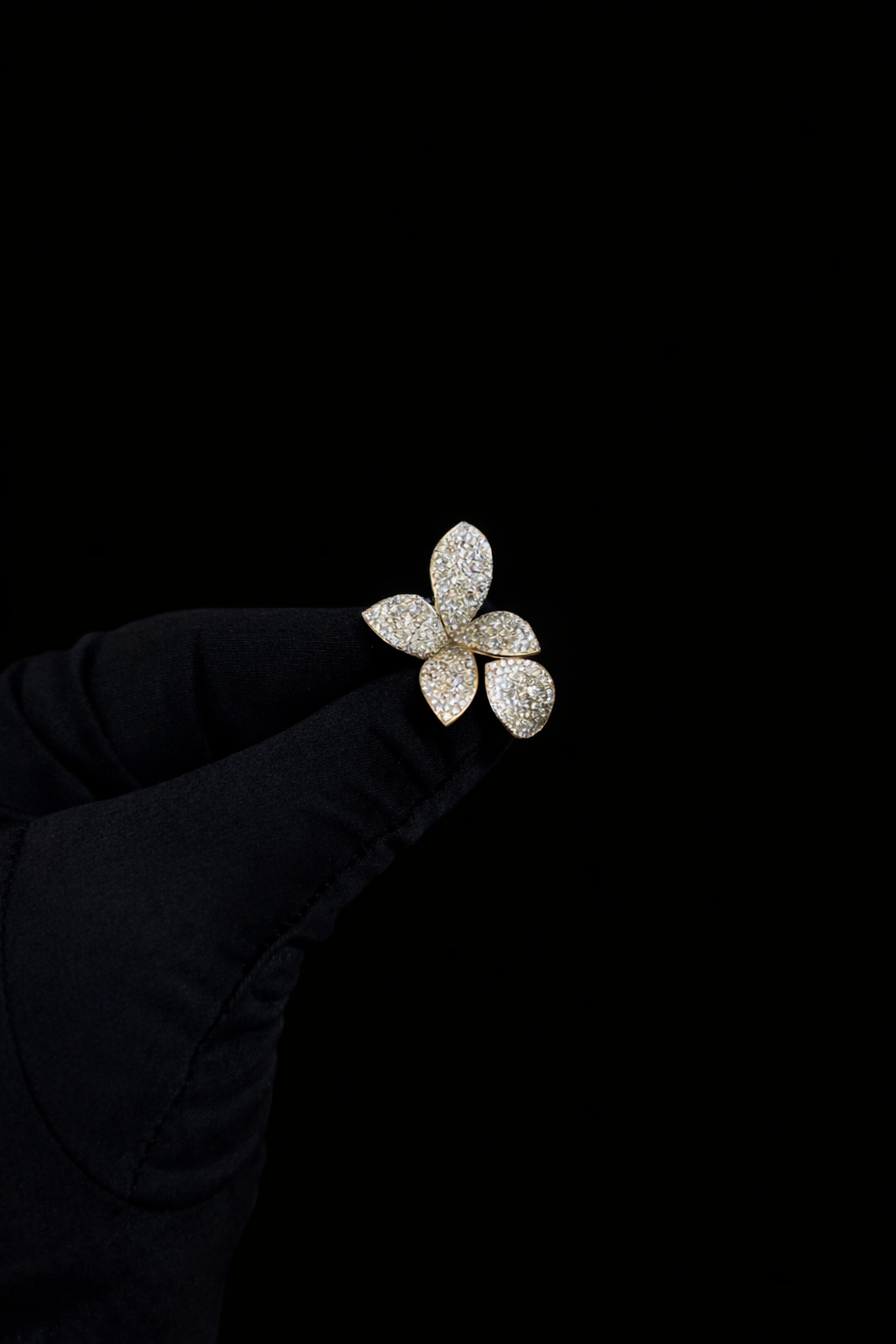 Pasquale Bruni - GIARDINI SEGRETI