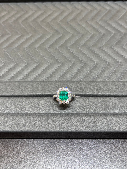 Anello Crivelli